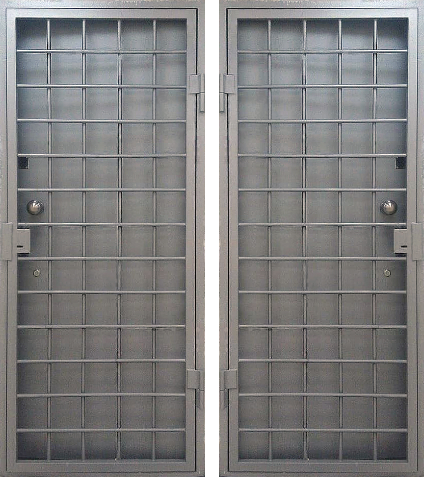 Дверь ЛД-298 сетка-решётка из прутьев