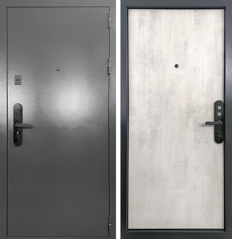 Металлическая входная дверь с биометрическим замком ЛД-19