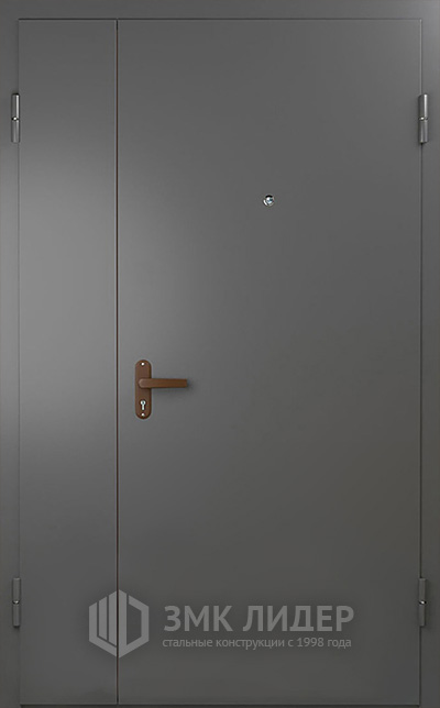 Тамбурная дверь ЛД-131 с нитроэмалью